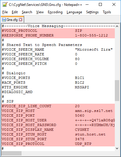 GNS configuration file settings