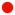 Red dot