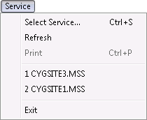 Service menu options